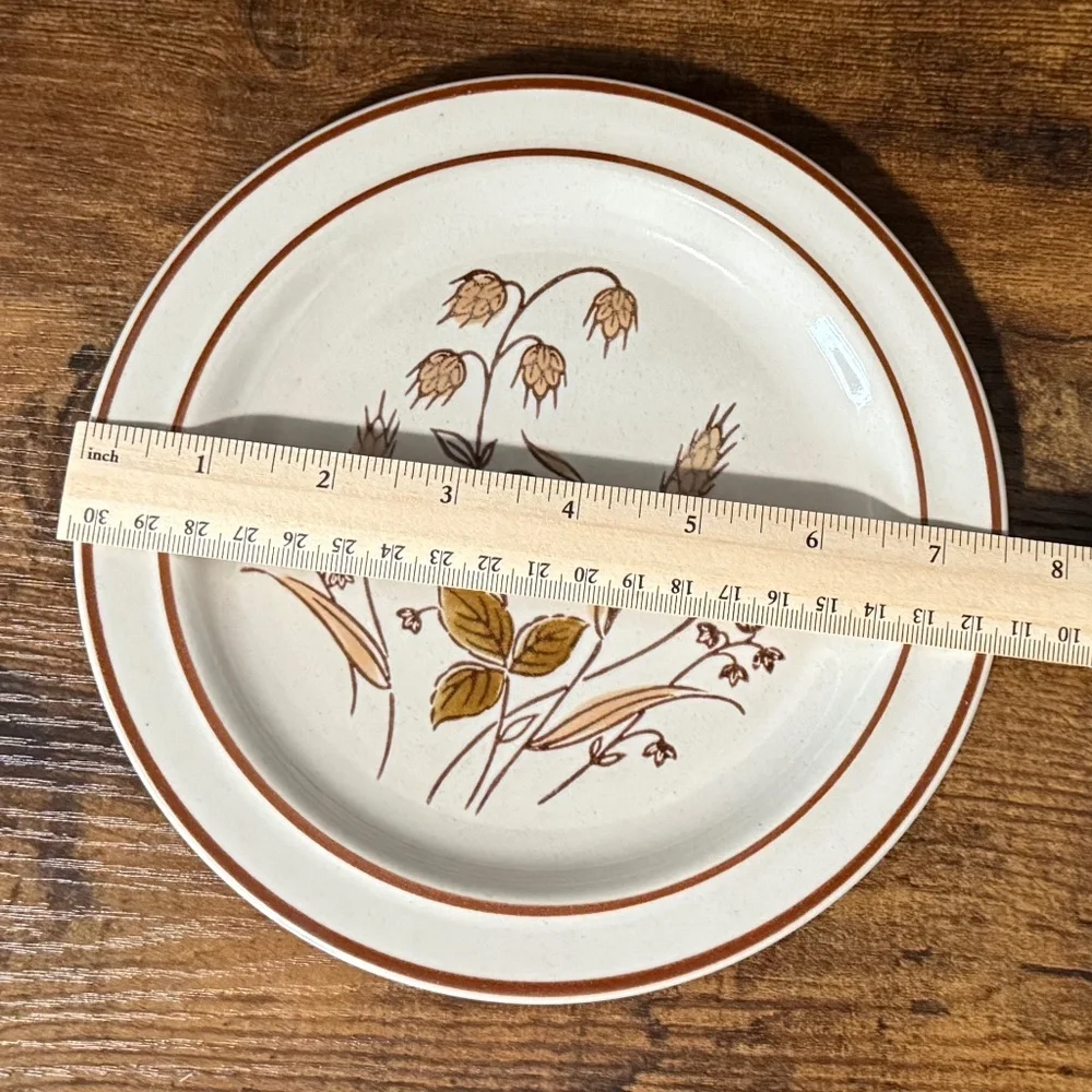 RKS STONEWARE Autumn Wheat Plates (2)